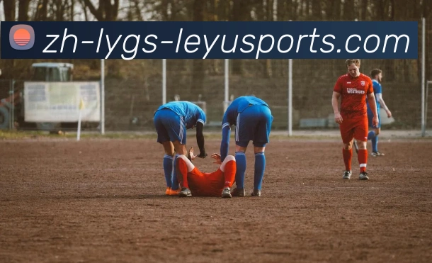 乐鱼体育全站App